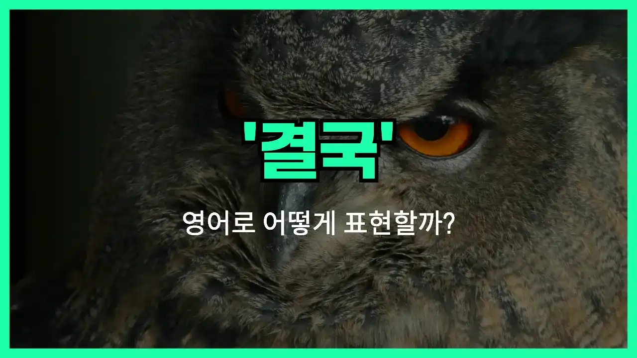 'in the end' 영어표현 썸네일