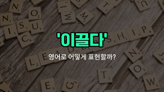 'lead' 영어표현