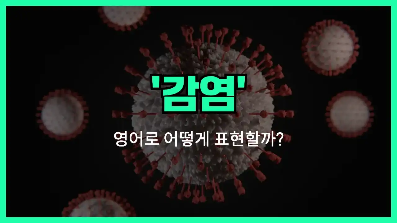 'infection' 영어표현 썸네일