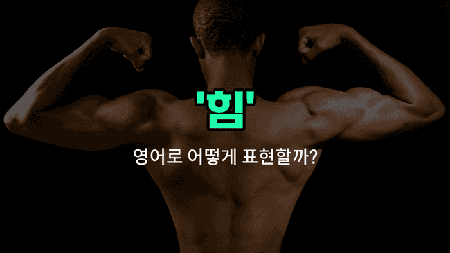 'force' 영어표현