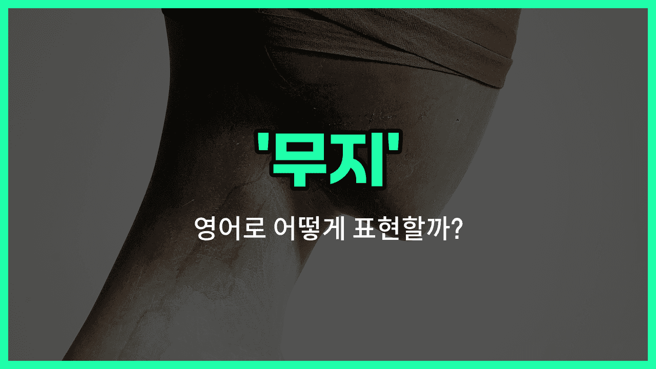 'ignorance' 영어표현 썸네일