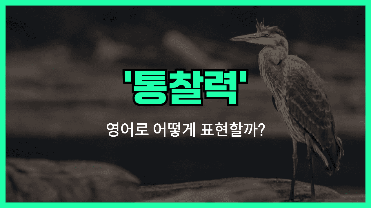 'insight' 영어표현 썸네일