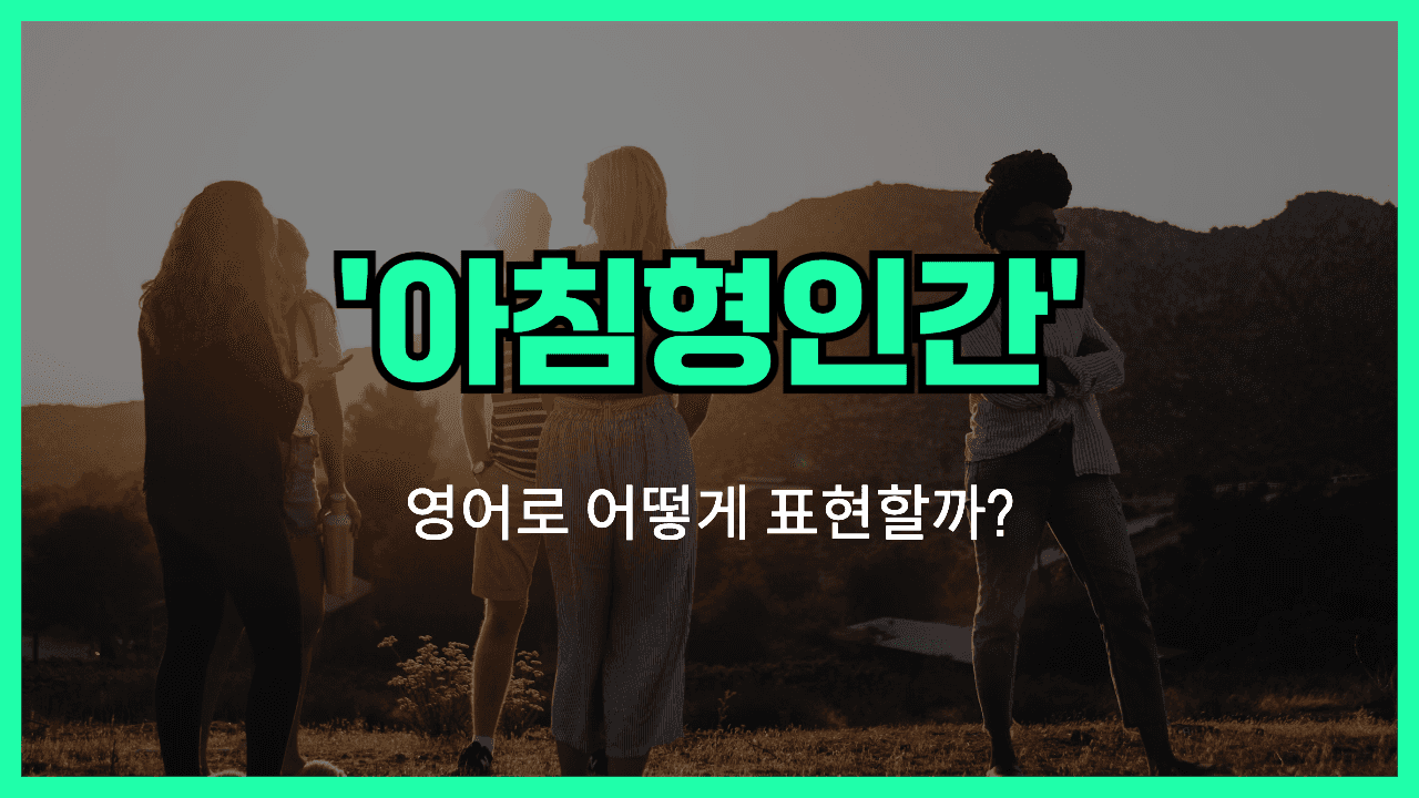 아침형인간 영어표현