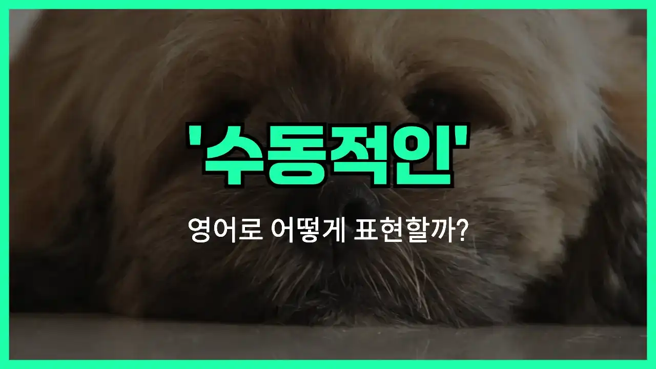 'passive' 영어표현 썸네일