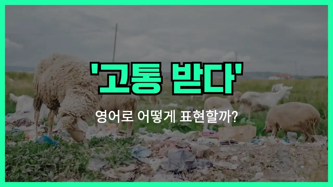 'suffer from' 영어표현 썸네일