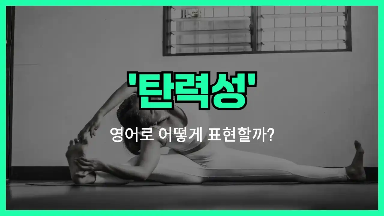 'elasticity (탄력성)' 영어표현 썸네일