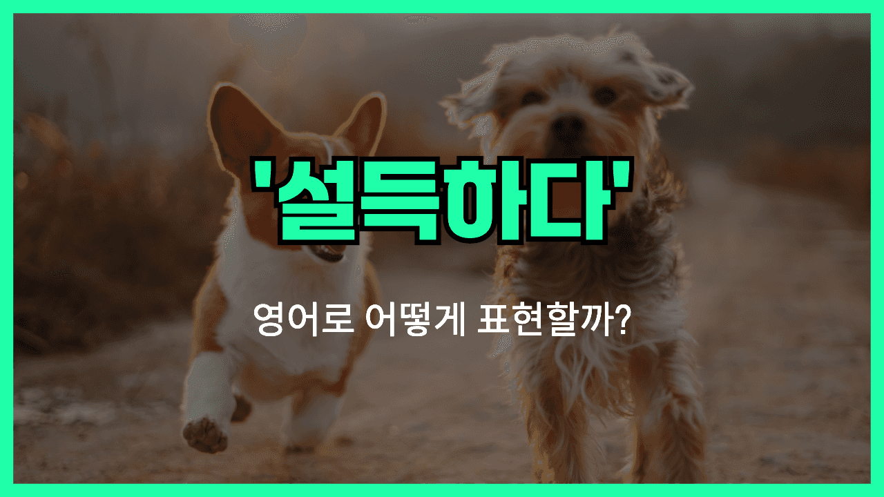 설득하다 영어표현 썸네일