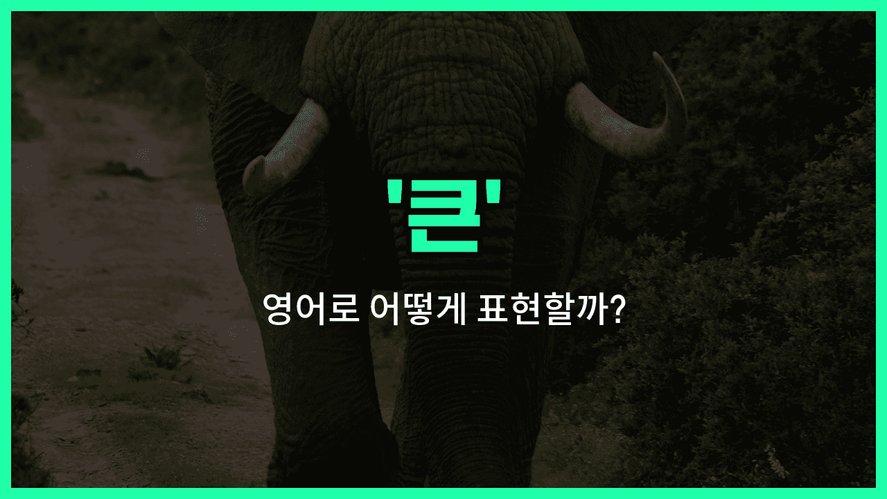 'large' 영어표현 썸네일