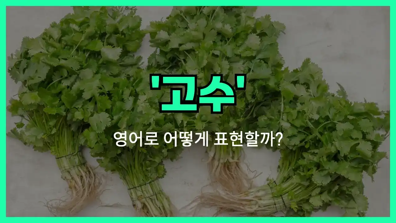 'cilantro' 영어표현 썸네일