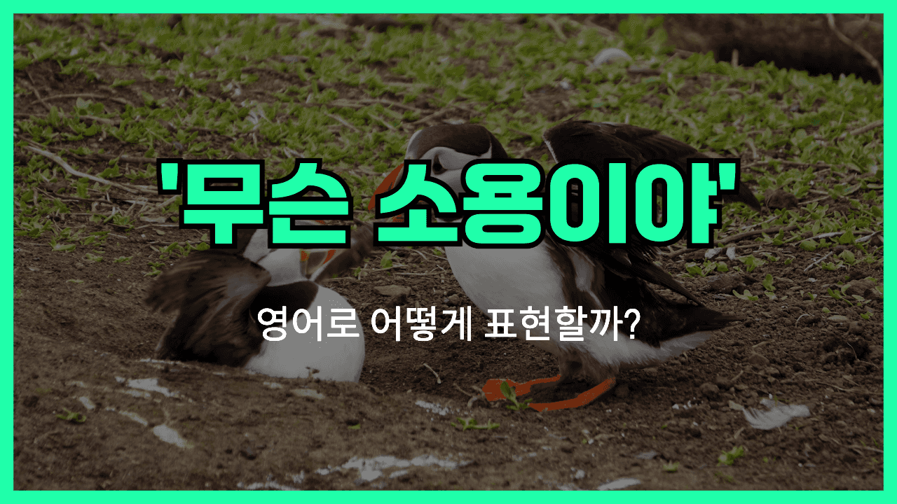 하는게 어때 영어표현 썸네일