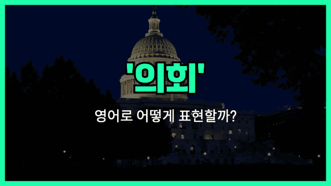 'congress' 영어표현