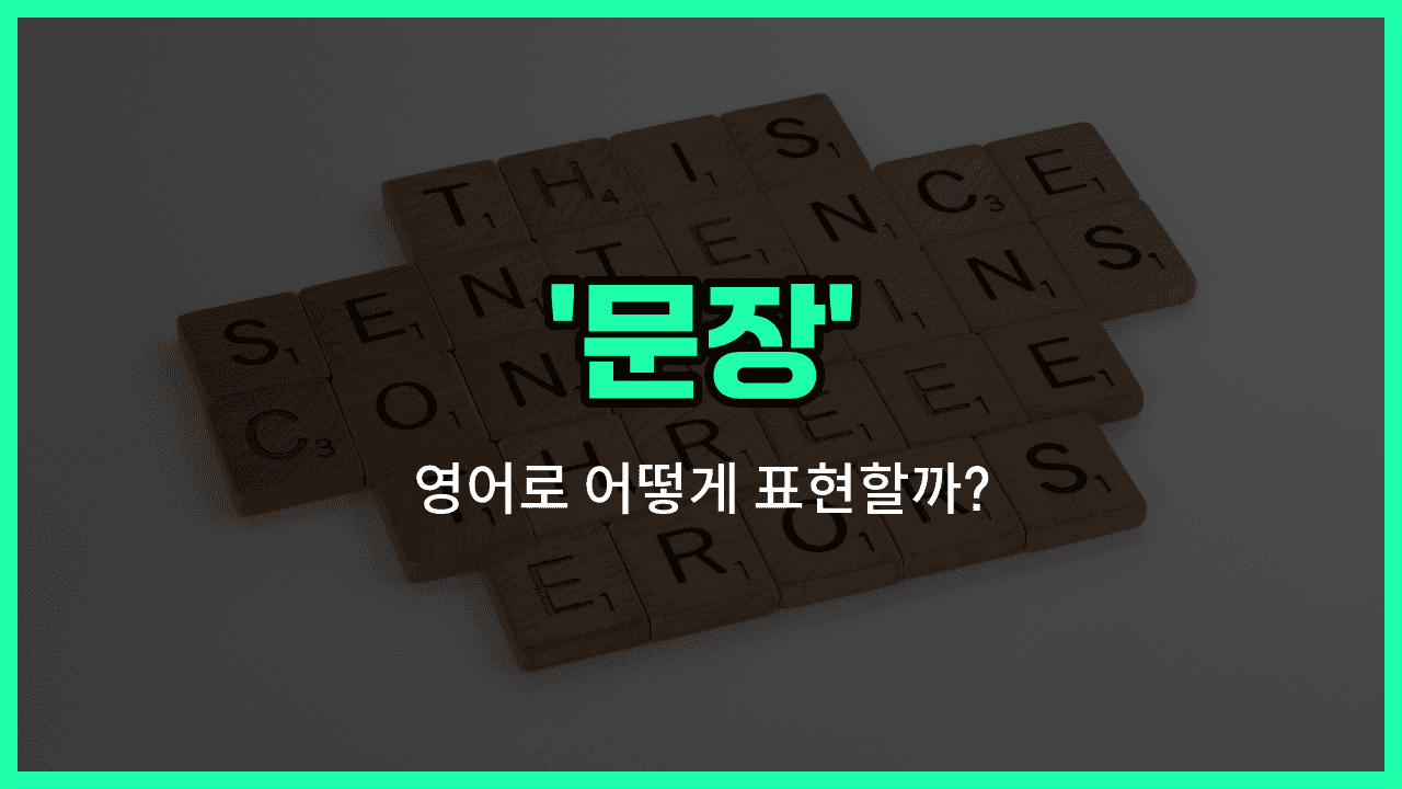 'sentence' 영어표현 썸네일