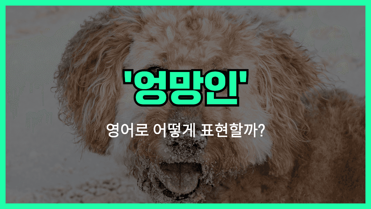 'messy' 영어표현 썸네일