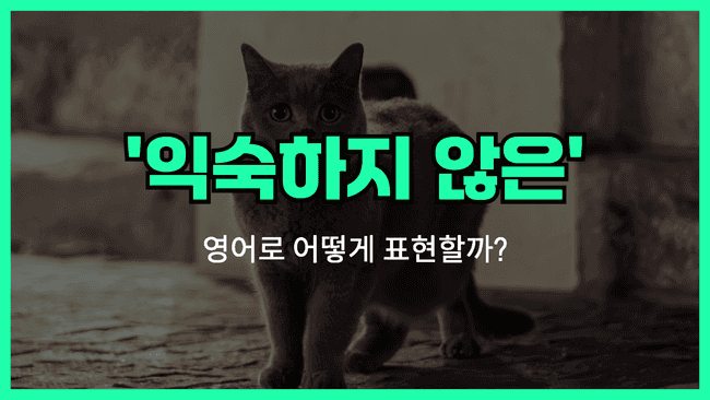 '익숙하지 않은' 영어표현 썸네일