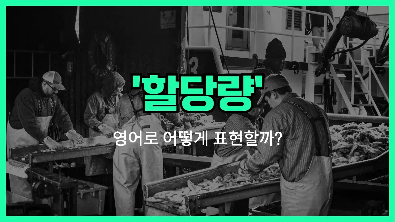 'quota' 영어표현 썸네일