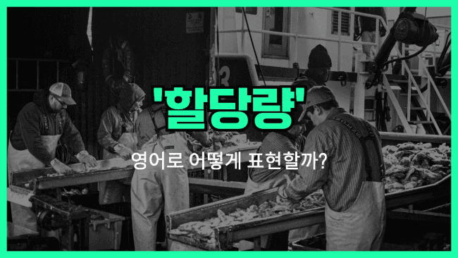 'quota' 영어표현