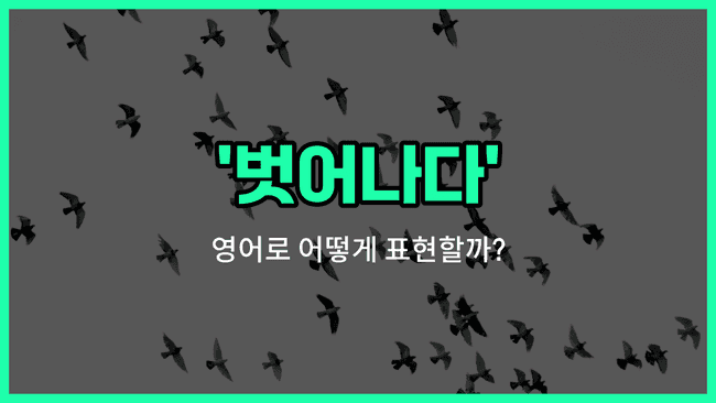 'break free' 영어표현