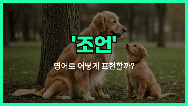 'advice' 영어표현