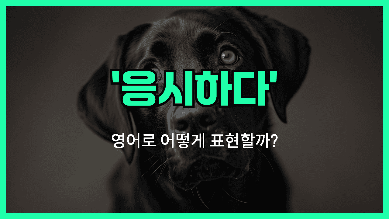 응시하다 영어표현