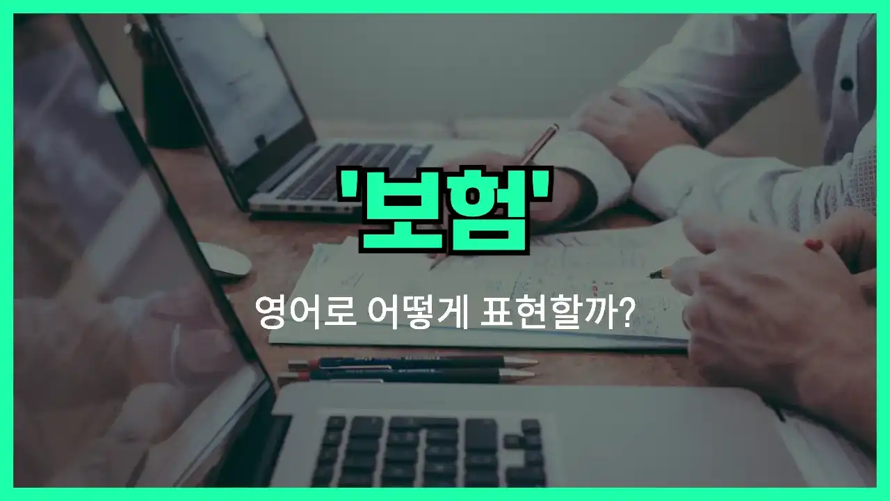 'insurance' 영어표현 썸네일