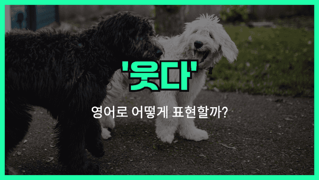 웃다 영어표현 썸네일