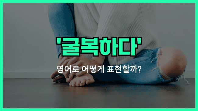 'succumb to' 영어표현