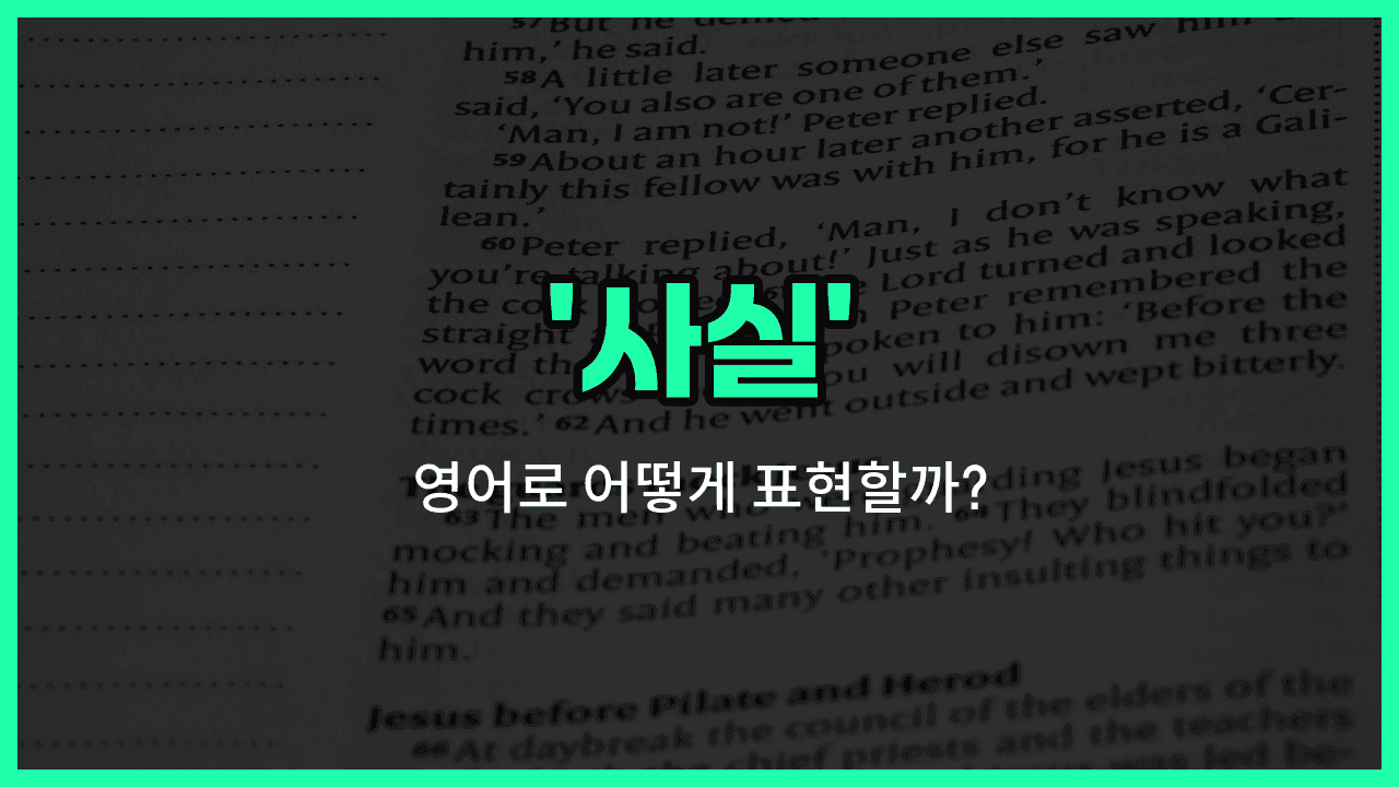 'fact' 영어표현 썸네일