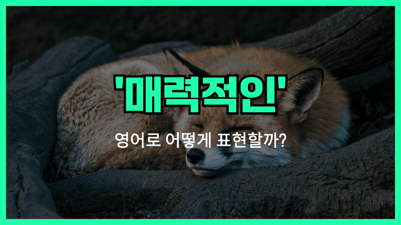 'attractive' 영어표현 썸네일