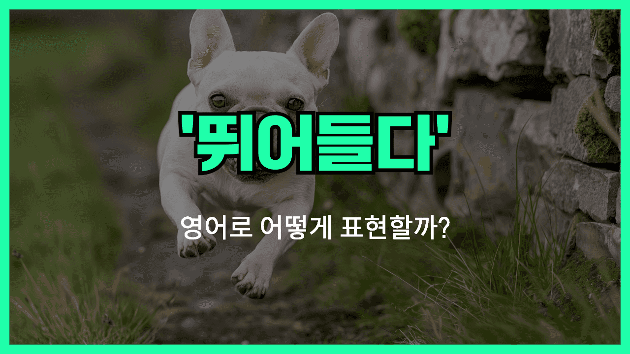 뛰어들다 영어표현 썸네일