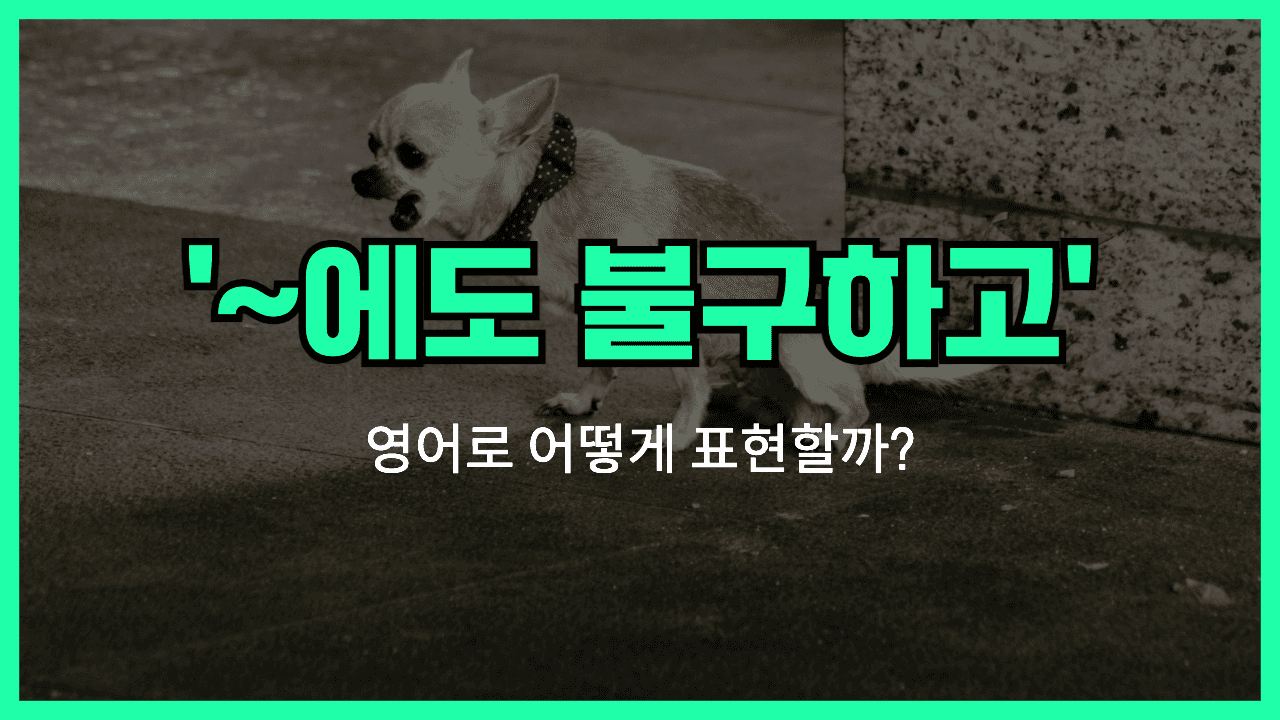 '~임에도 불구하고' 영어표현 썸네일