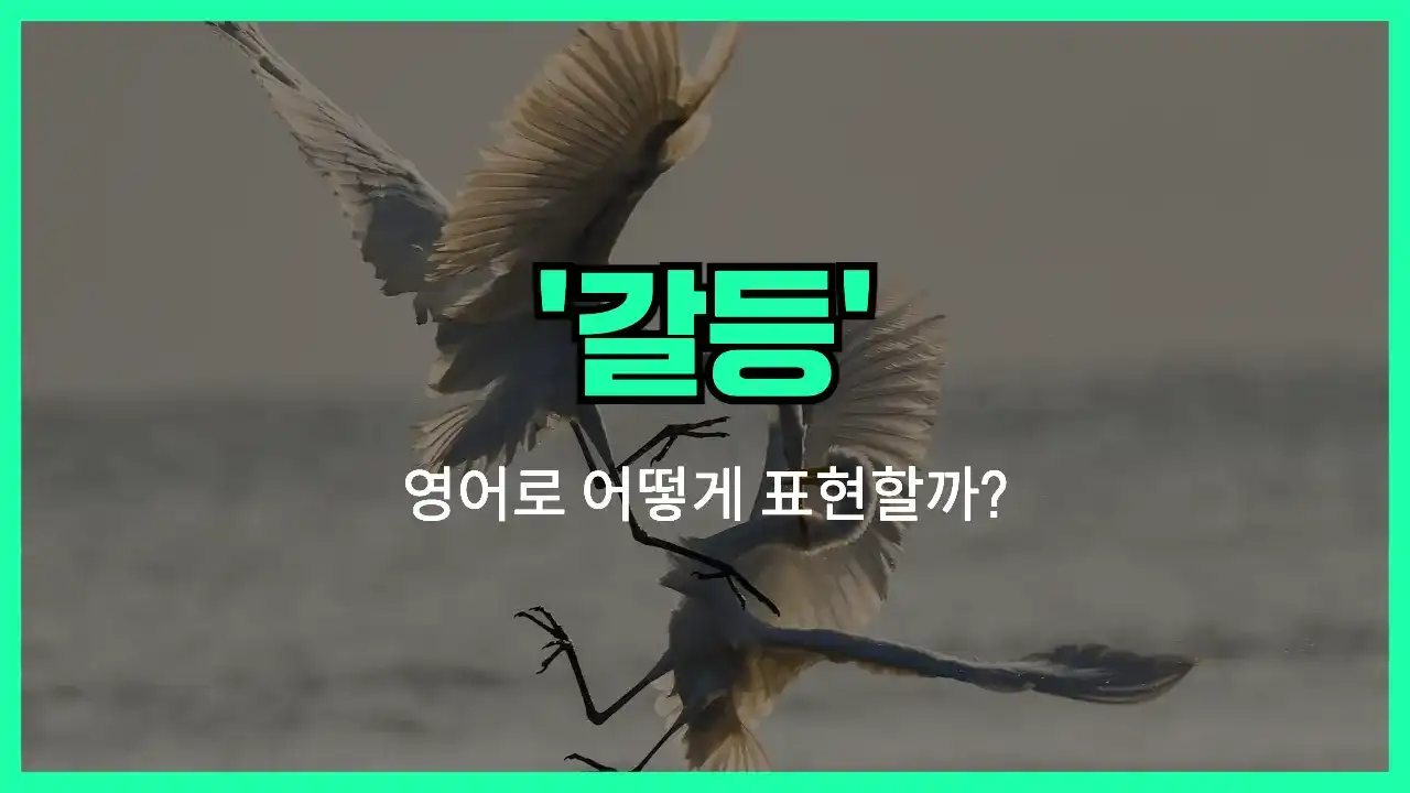 'conflict' 영어표현 썸네일