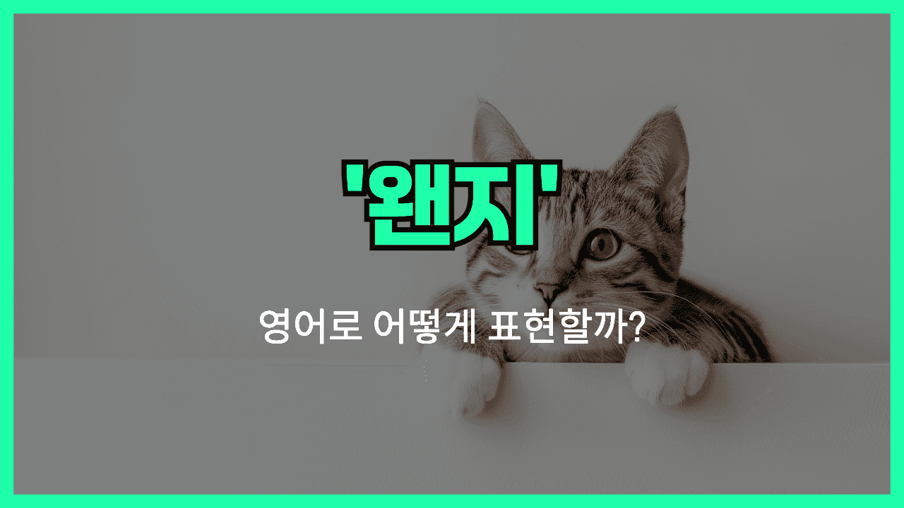 왠지 영어표현 썸네일