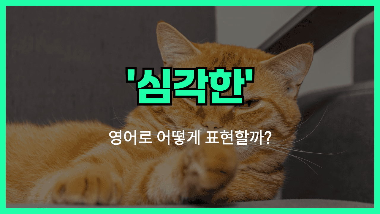 심각한 영어표현 썸네일
