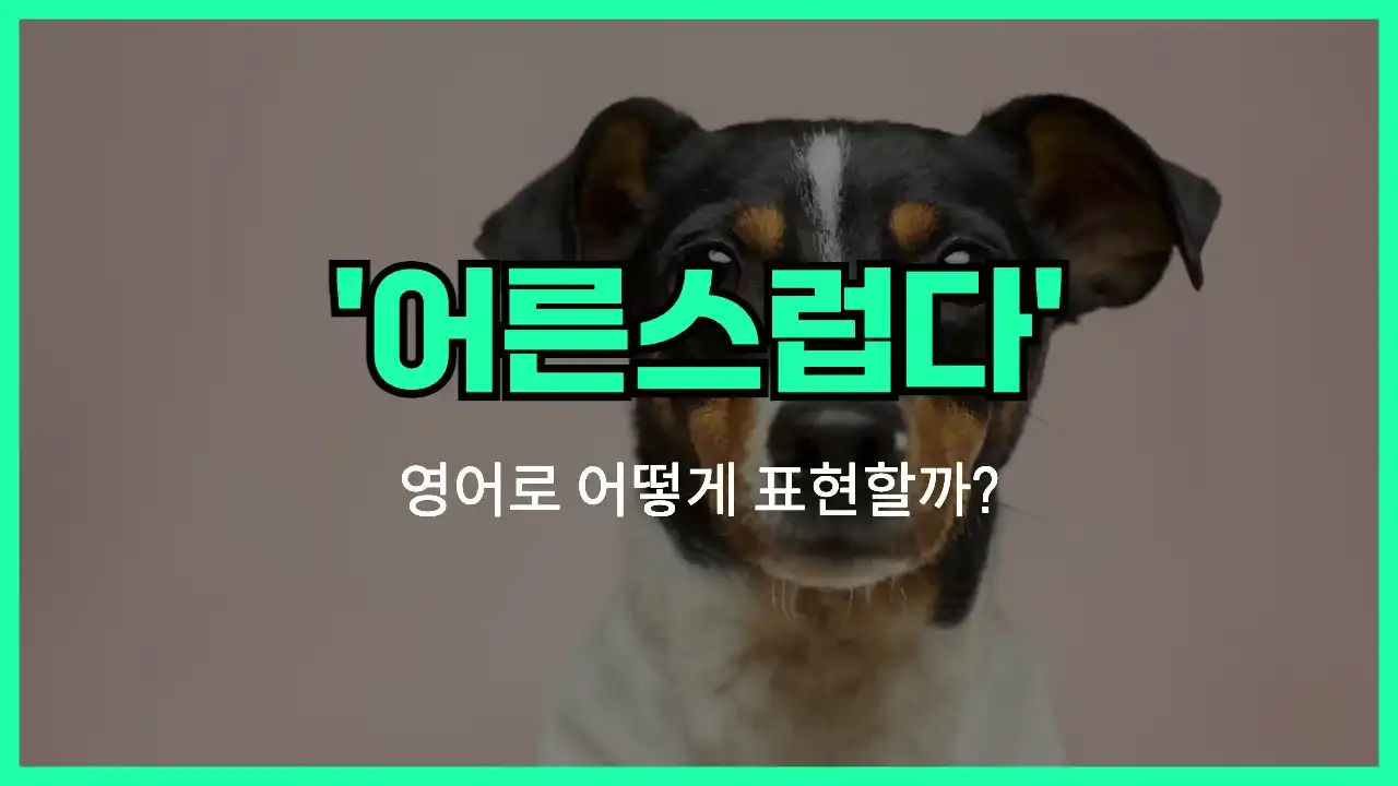 'mature' 영어표현 썸네일