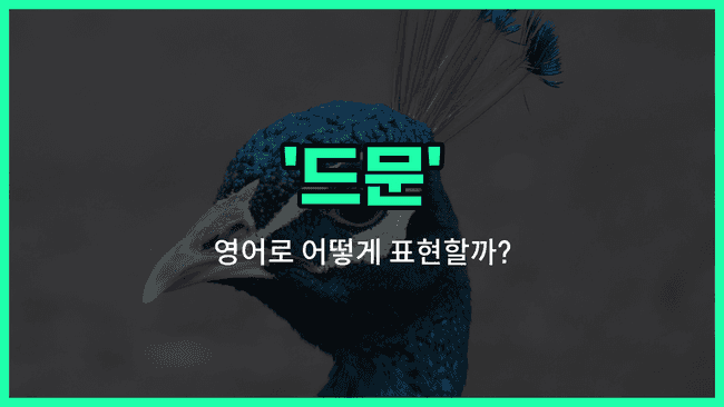 'rare' 영어표현