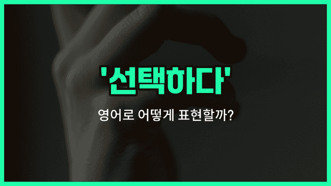 'opt for' 영어표현