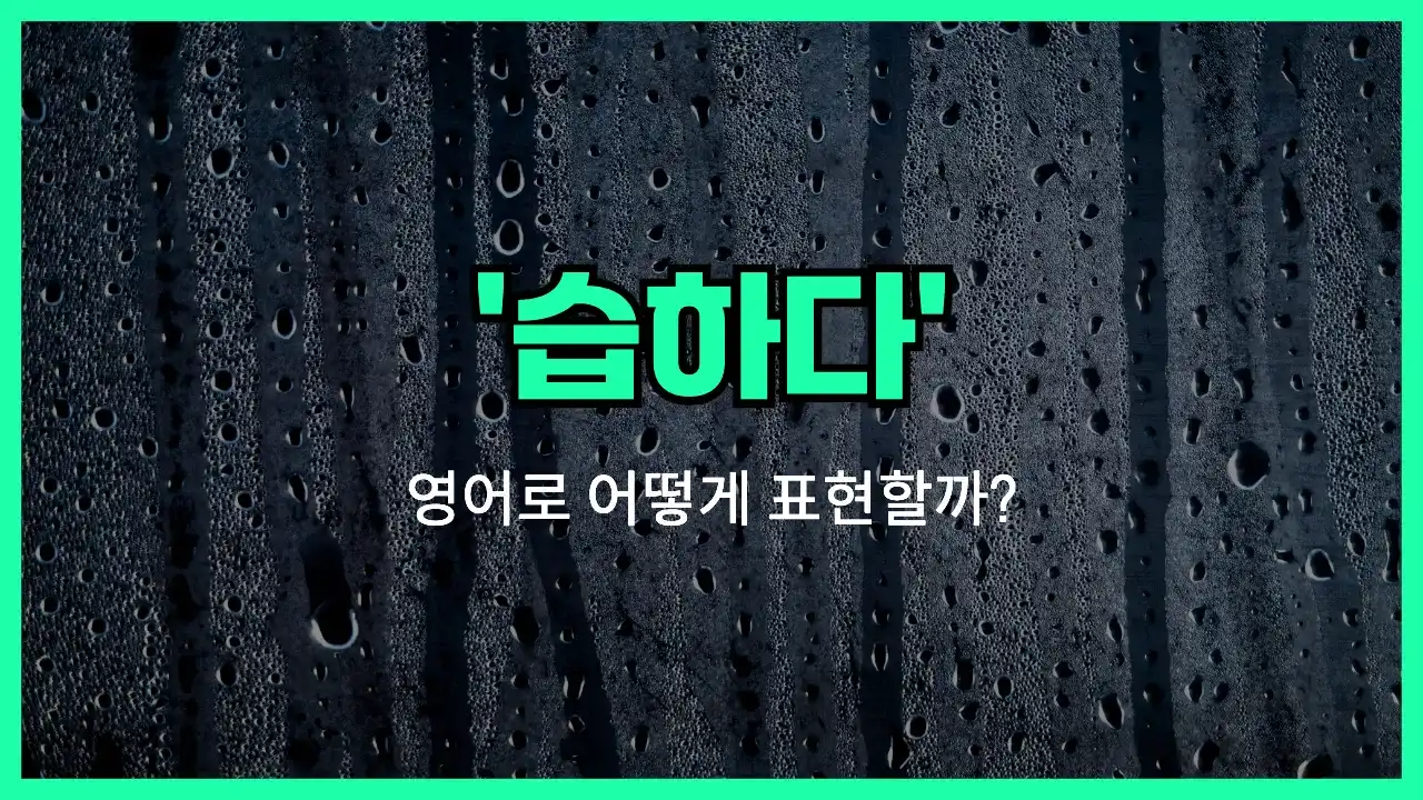 'humid' 영어표현 썸네일