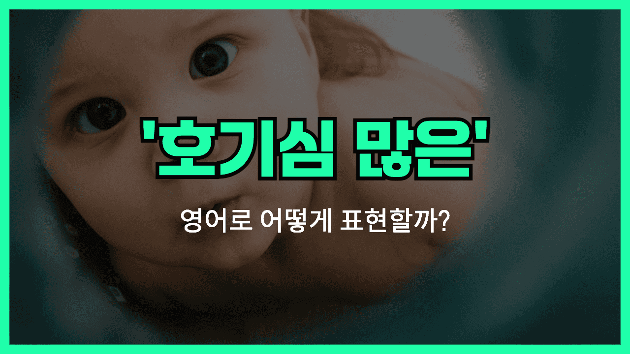 호기심 많은 영어표현 썸네일