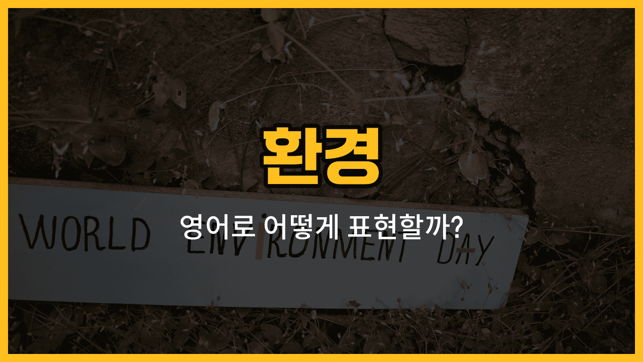 환경 관련 영어 단어와 예문을 배우는 블로그 썸네일 이미지