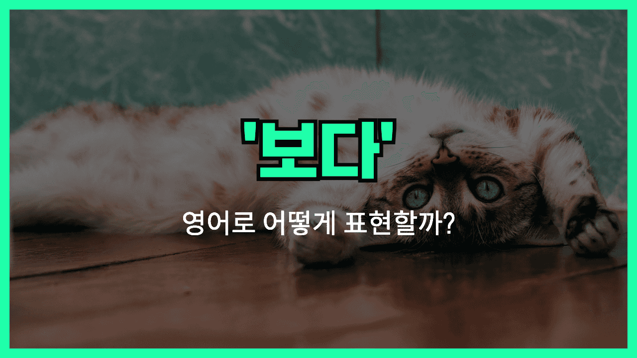보다 영어표현 썸네일