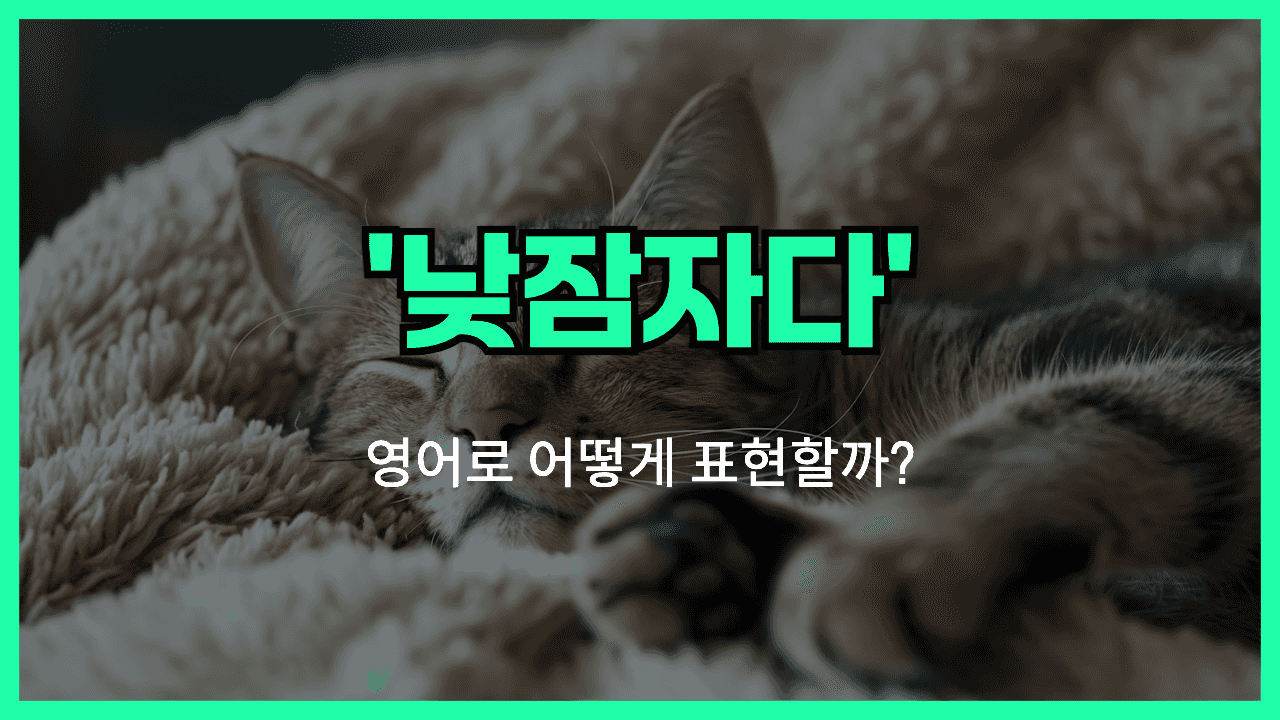 낮잠 자다 영어표현