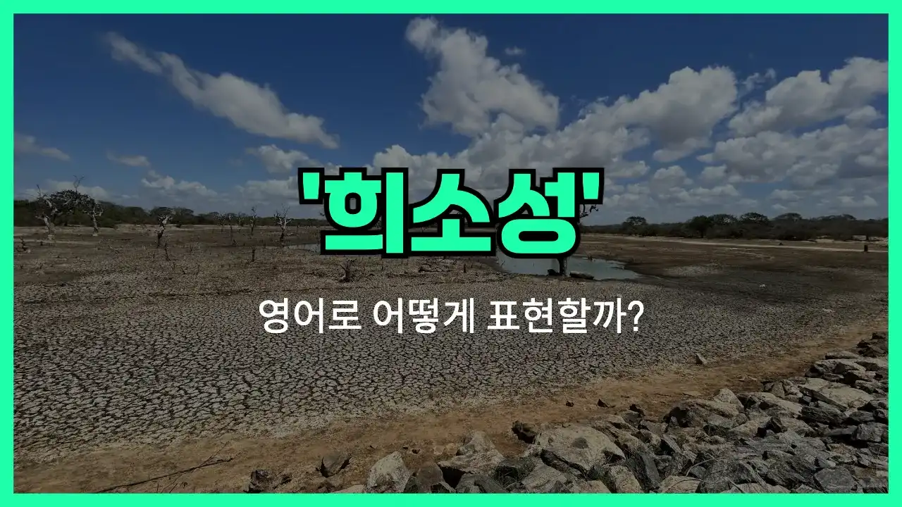 'scarcity' 영어표현 썸네일