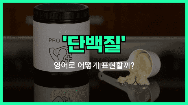 'protein' 영어표현