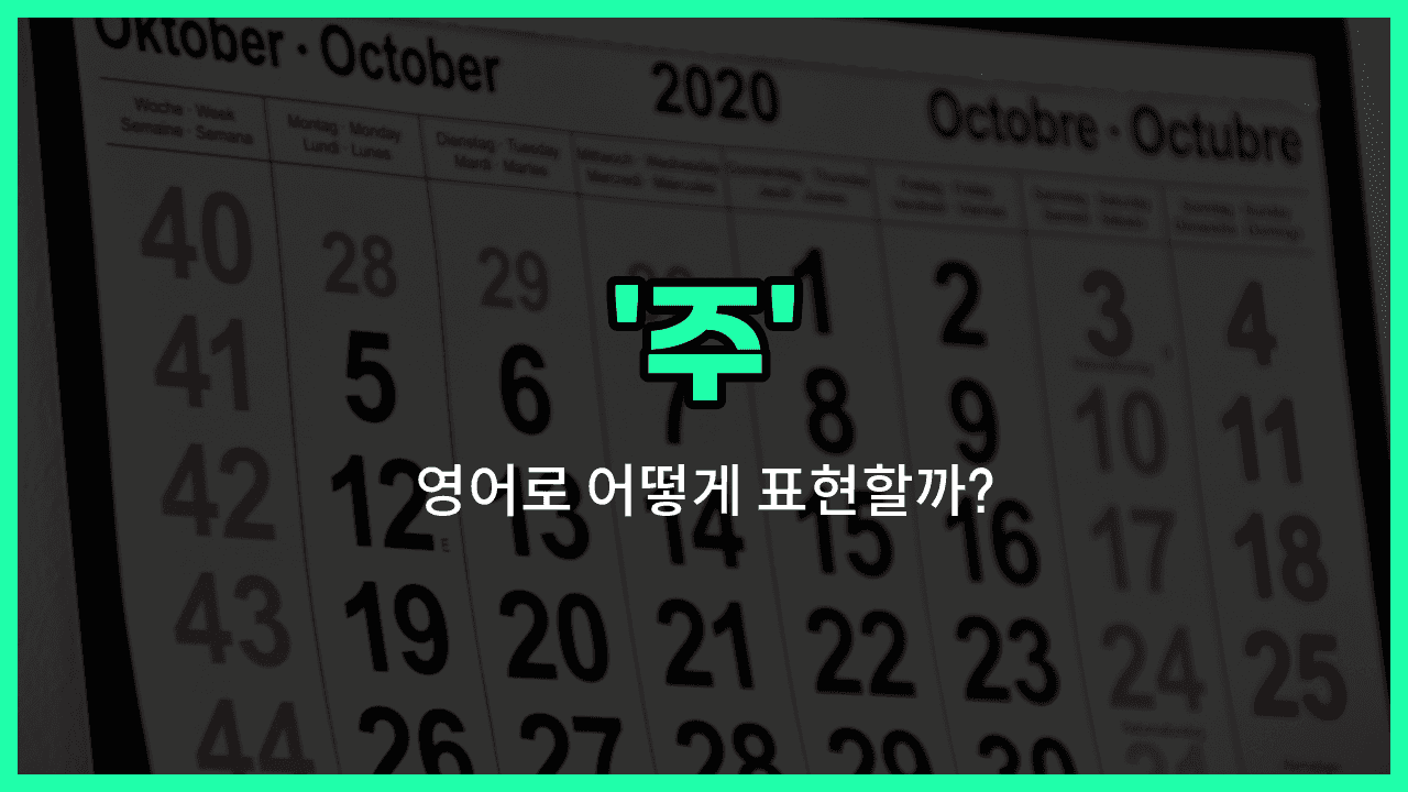 'week' 영어표현 썸네일