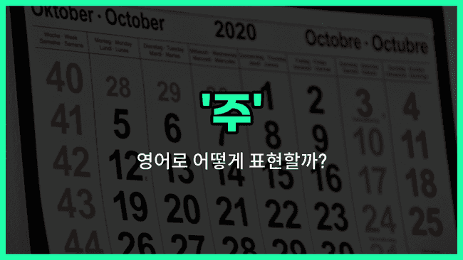 'week' 영어표현