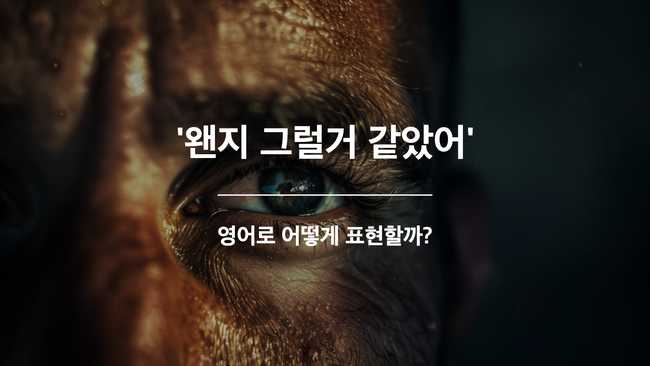 왠지 그럴거 같았어 영어표현