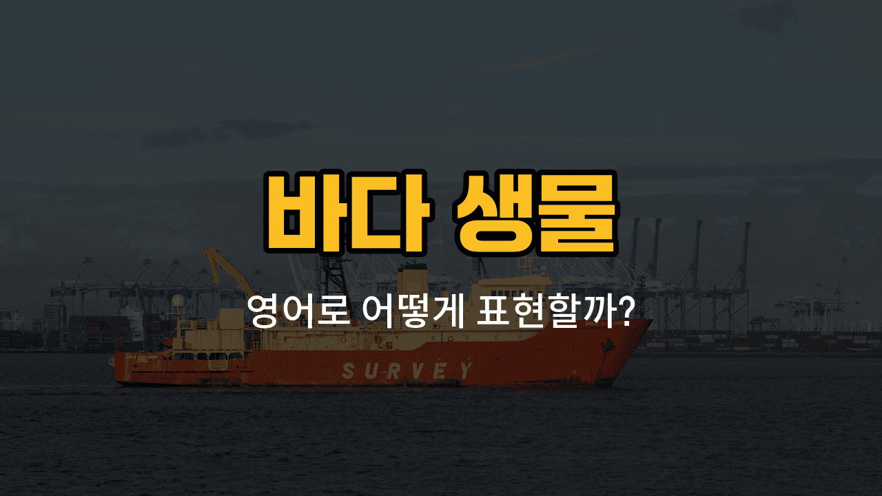 바다 생물 영어 단어와 발음, 예문을 배우는 블로그 썸네일 이미지