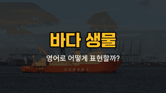 바다 생물 영어 단어와 발음, 예문을 배우는 블로그 썸네일 이미지