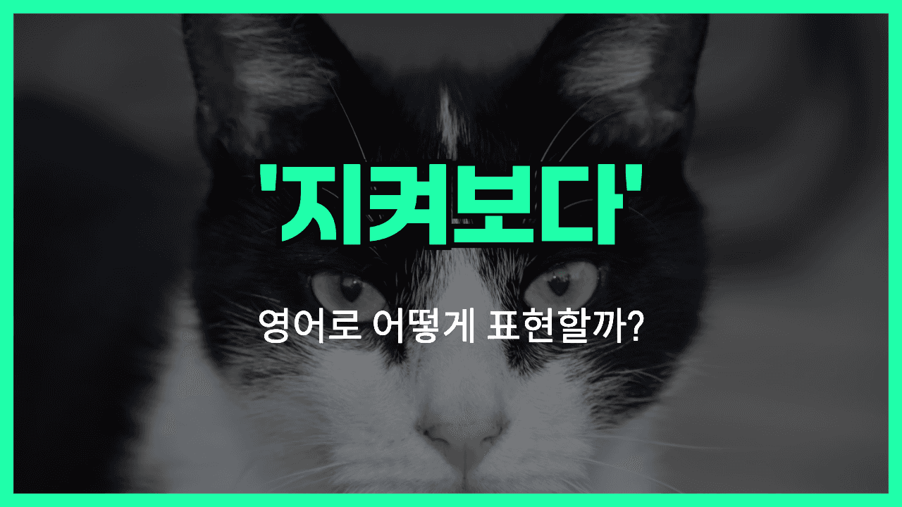 지켜보다 영어표현 썸네일