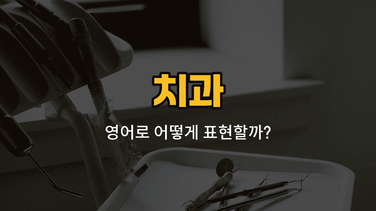 송곳니, 혀, 입천장, 턱, 치근 영어 단어와 발음, 예문을 배우는 치과 영어 학습 이미지